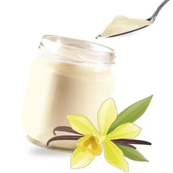 Yaourtières<LAGRANGE Arôme vanille pour yaourts,