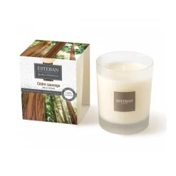 Bougies Parfumées|Bougies Décoratives<ESTEBAN Bougie parfumée 180 gr Cèdre Sauvage,