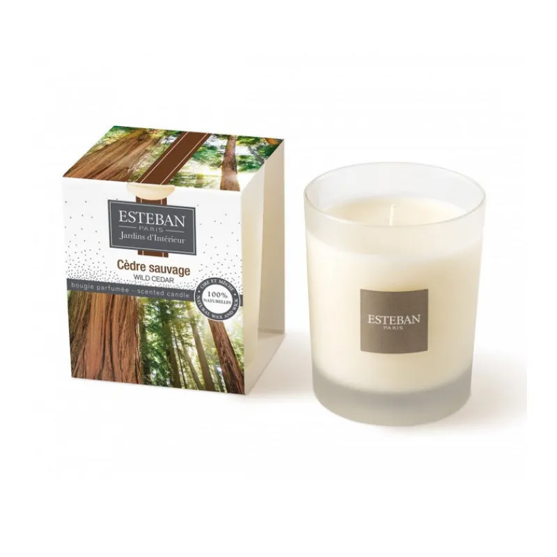 Bougies Parfumées|Bougies Décoratives<ESTEBAN Bougie parfumée 180 gr Cèdre Sauvage,