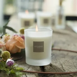 Bougies Parfumées|Bougies Décoratives<ESTEBAN Bougie parfumée 180 gr Citronnelle et Menthe,