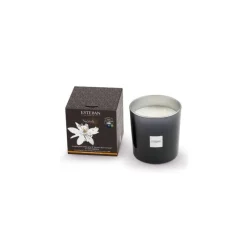 Bougies Parfumées|Bougies Décoratives<ESTEBAN Bougie parfumée 450 gr Néroli,