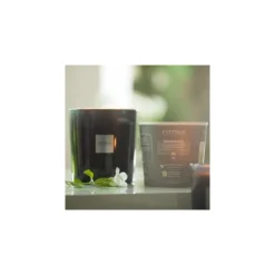 Bougies Parfumées|Bougies Décoratives<ESTEBAN Bougie parfumée 450 gr Teck & Tonka,