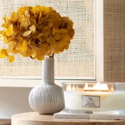 Bougies Parfumées|Bougies Décoratives<Woodwick Bougie parfumée Ellipse Noix de coco des iles,