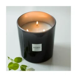 Bougies Parfumées|Bougies Décoratives<ESTEBAN Bougie parfumée 450g Cèdre,