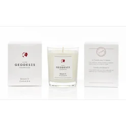 Bougies Parfumées<GEODESIS Bougie parfumée 180g Figuier,
