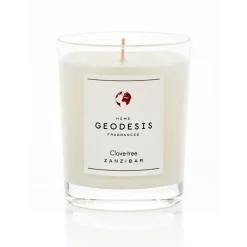 Bougies Parfumées<GEODESIS Bougie parfumée 180g Giroflier,