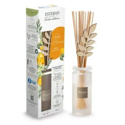 Diffuseurs De Parfum D'Intérieur<ESTEBAN Bouquet parfumé Ambre et Baume,