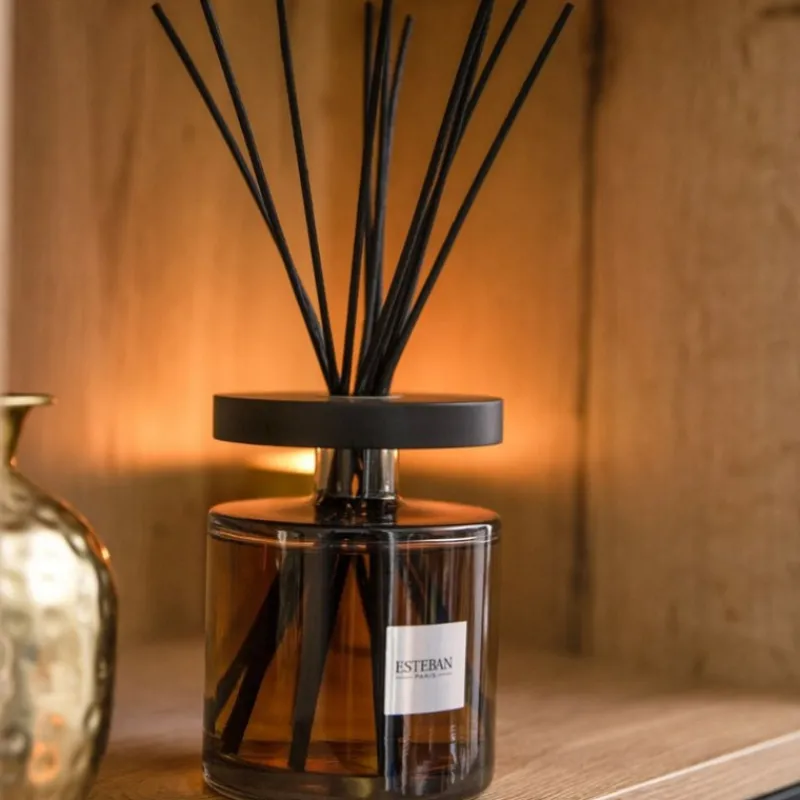 Diffuseurs De Parfum D'Intérieur<ESTEBAN Bouquet parfumé Ellipse 500 ml Vanille d'Or, Estéban