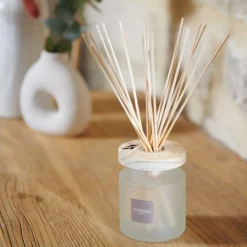 Diffuseurs De Parfum D'Intérieur<ESTEBAN Bouquet parfumé Ellipse Orange et Thé Vert 200ml,