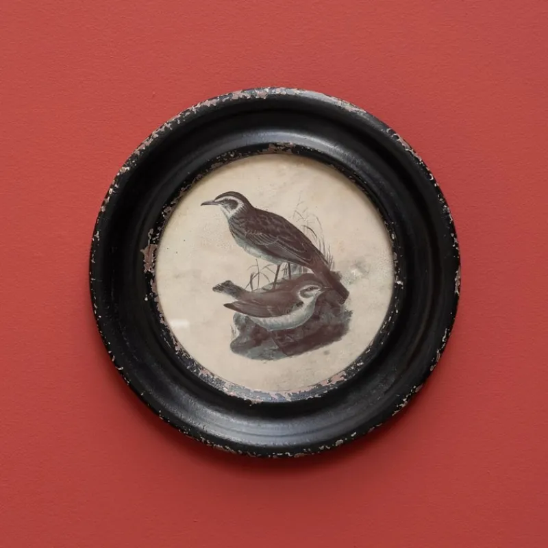 Décorations Murales<Chehoma Cadre rond Oiseau Long Bec,