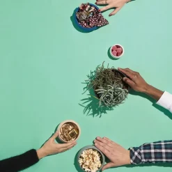 Saladiers Et Coupelles|Les Assiettes Creuses<Degrenne Paris Cocotte 50cl Gourmet Blanc Sablé,