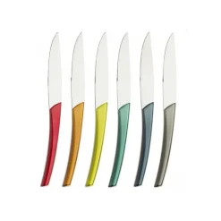 Couteaux<Degrenne Paris Coffret 6 couteaux à steak Quartz Multicolore, Guy Degrenne
