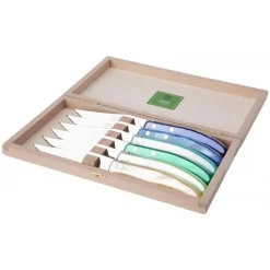 Couteaux<DOZORME Coffret 6 couteaux à steak Berlingot panaché Bleu Vert, Claude