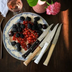 Couteaux<OPINEL Coffret 4 couteaux de table Facette Panaché,