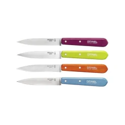 Couteaux Professionnels<OPINEL Coffret 4 couteaux d'office acidulés,