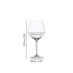 Verres Oenologiques|Verres À Vin<SPIEGELAU Coffret 4 verres à Bourgogne Style,