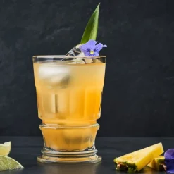 Verres À Cocktail<La Rochère Coffret 4 verres à cocktail Club,