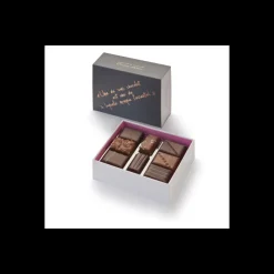 Le Chocolat<Vincent Guerlais Coffret de mignardises 16 chocolats,