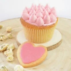 Arômes Et Colorants<ScrapCooking Colorant alimentaire naturel en poudre Blush,