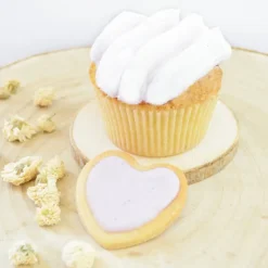 Arômes Et Colorants<ScrapCooking Colorant alimentaire naturel en poudre Lilas,