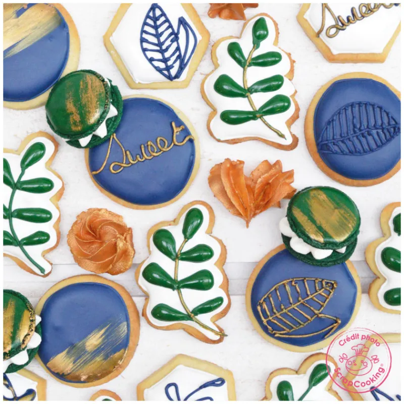 Les Macarons|Les Cupcakes<ScrapCooking Colorant artificiel en poudre Bleu Nuit,