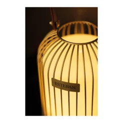 Diffuseurs De Parfum D'Intérieur<ESTEBAN Diffuseur brume  de parfum Edition Lampion,