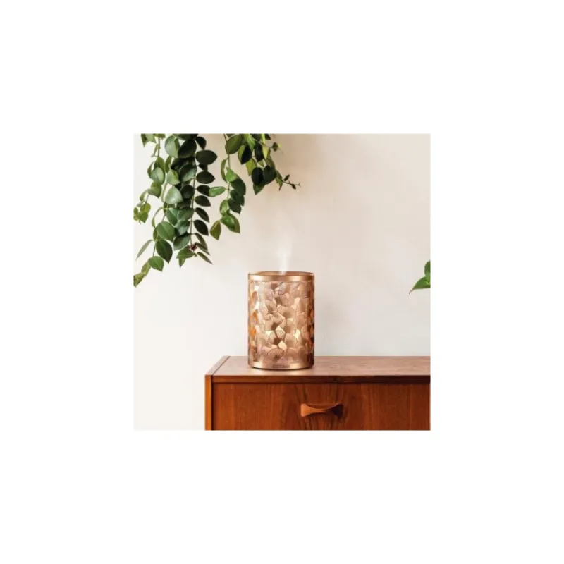 Diffuseurs De Parfum D'Intérieur<ESTEBAN Diffuseur brume Edition Cuivre & Lumière,