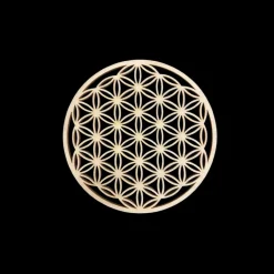 La Lithothérapie<Koukouma & Co Fleur de Vie,