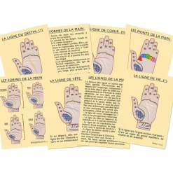 Les Jeux D'Intérieur<Marc Vidal J'apprends à lire les lignes de la main,