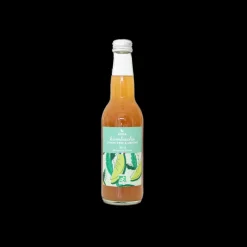 Les Autres Boissons<Atika Kombucha Citron Vert et Menthe Bio 33cl,