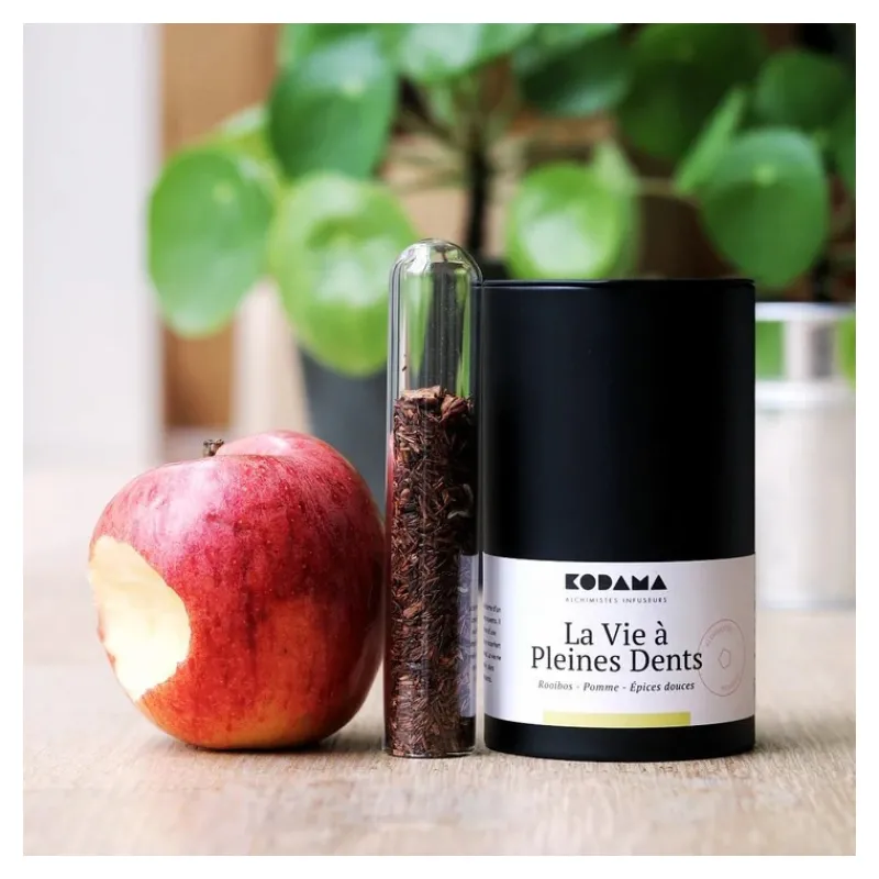 Les Thés Et Tisanes<Kodama Paris La vie à pleines dents Bio, Kodama