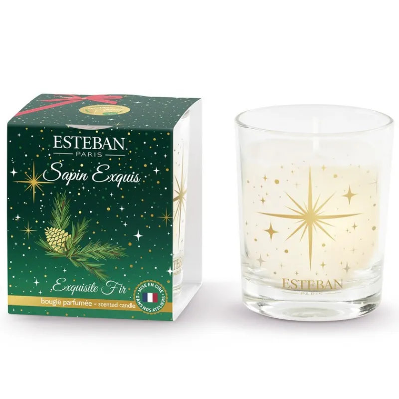 Bougies Parfumées|Bougies Décoratives<ESTEBAN Mini bougie Sapin Exquis, Estéban