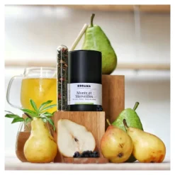 Les Thés Et Tisanes<Kodama Paris Monts et Merveilles, Kodama