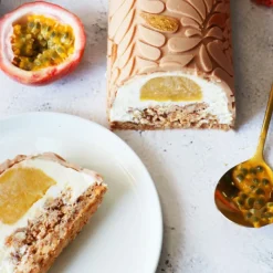 Moules Anti-Adhérent<ScrapCooking Moule silicone insert bûche 25cm,