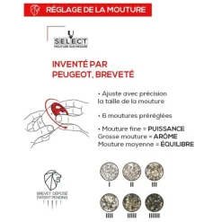Moulins À Poivre<PEUGEOT Moulin à poivre Maestro,