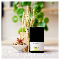 Les Thés Et Tisanes<Kodama Paris Mugicha bio, Kodama