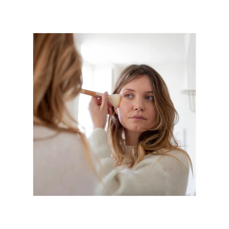 Les Accessoires<Bachca Pinceau poudre N°101,