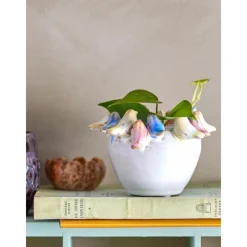 Vases<Bloomingville Pot de fleurs Eanna,