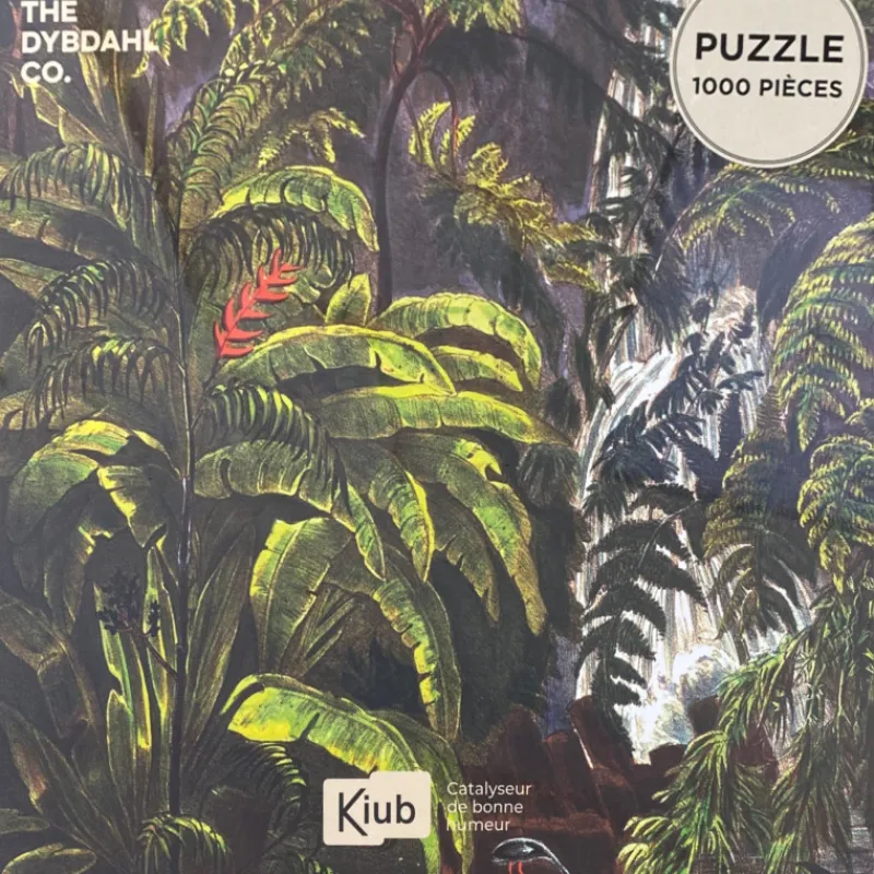 Les Jeux D'Intérieur<Kiub Puzzle de 1000 pièces Cascade,
