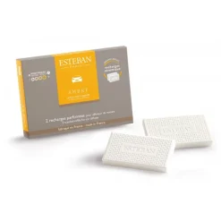 Diffuseurs De Parfum D'Intérieur<ESTEBAN Recharge parfumée pour diffuseur de voiture Ambre,