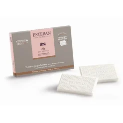 Diffuseurs De Parfum D'Intérieur<ESTEBAN Recharge parfumée pour diffuseur de voiture Iris Cachemire,