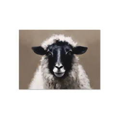 Sets De Table<PÔDEVACHE Set de table Alaganik, Pôdevache