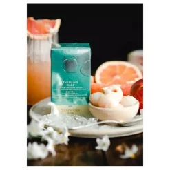 Les Thés Et Tisanes<DAMMANN FRERES Thé glacé Bali en sachets, Dammann Frères