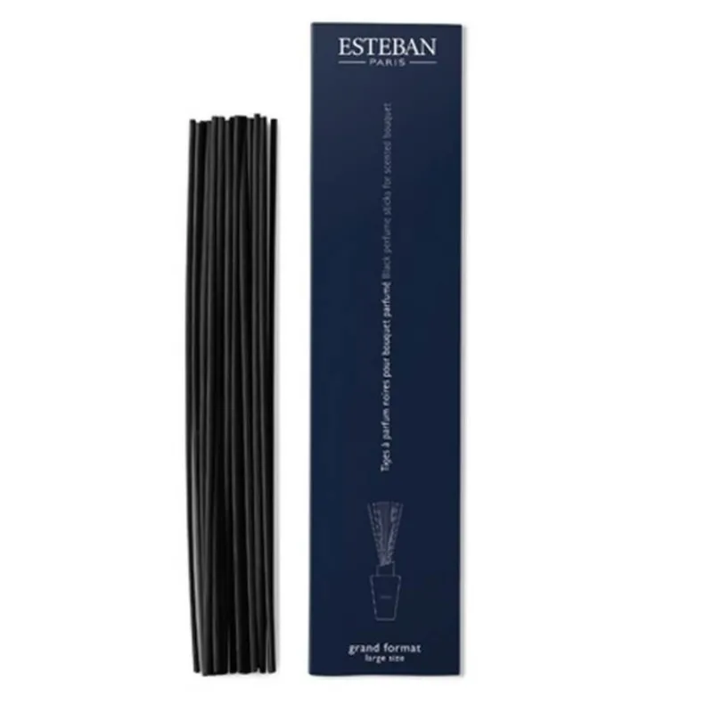 Diffuseurs De Parfum D'Intérieur<ESTEBAN Tige à parfum petit format,