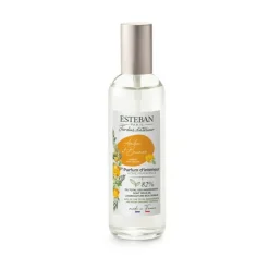 Diffuseurs De Parfum D'Intérieur<ESTEBAN Vaporisateur 100 ml Ambre et Baume,