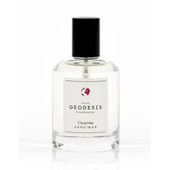 Diffuseurs De Parfum D'Intérieur<GEODESIS Vaporisateur de parfum Giroflier,